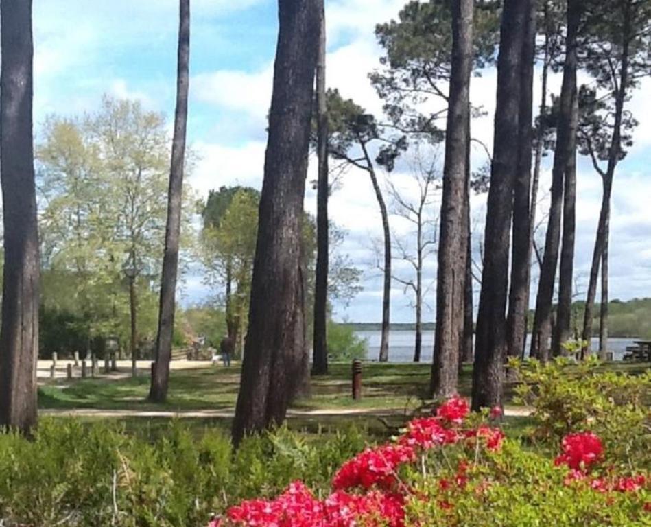 Hotel Au Bon Coin Du Lac Mimizan Exterior foto
